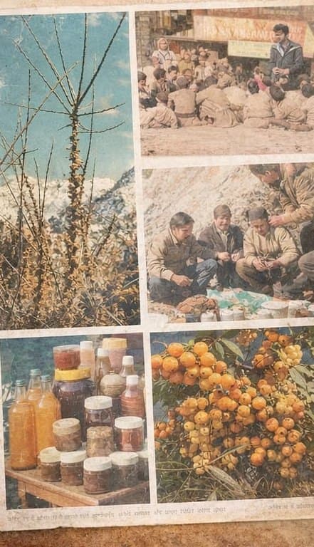 Archive photographs of field research and community training in the Himalaya